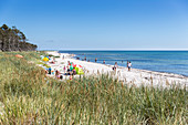 People on the beach, dream beach between Strandmarken und Dueodde, sandy beach, summer, Baltic sea, Bornholm, Strandmarken, Denmark, Europe
