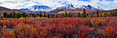 Autumn colours brighten the landscape in Tombstone territorial Park, along the Dempster highway, Yukon, Canada