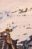 Snow covered peaks and sparse evergreen trees bathed in sunset light, Kings Bay, Prince William Sound, Whittier, Alaska, United States of America