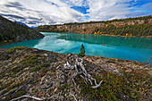 Man kayaking in Atlin Lake, British Columbia, Canada