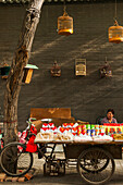 A Typical Chinese Street Shop Surrounded By Birdcages, Xian, Shannxi Province, China