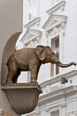 Elefant an Hauseck, Neue-Welt-Gasse, UNESCO Welterbestaette Stadt Graz – Historisches Zentrum, Steiermark, oesterreich