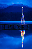 Christmas tree reflecting in lake