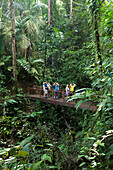 Birdwatchers, Mistico Arenal Hanging Bridges, Alajuela, Costa Rica, Central America