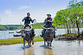 Armed policemen on buffalo back on Marajo Island in the Brazilian Amazon, Para, Brazil, South America
