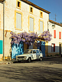 Classic french car and wisteria, Lacapelle Biron, Lot-et-Garonne, France, Europe