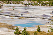 Norris Geyser Basin, Yellowstone National Park, UNESCO World Heritage Site, Wyoming, United States of America, North America