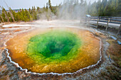 Morning Glory Pool in Upper Geyser Basin, Yellowstone National Park, UNESCO World Heritage Site, Wyoming, United States of America, North America