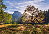 Half Dome from Cook's Meadow, Yosemite Valley, UNESCO World Heritage Site, California, United States of America, North America