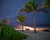 Palm trees on beach against sky at dusk