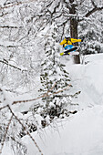 Skier Ally Watson hitting the trees during a freeride ski session in Chamonix