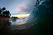 A wave breaking to shore on the north shore of Oahu.