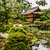 A traditional Japanese building in a garden in Kyoto.