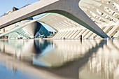 City of Arts and Sciences in Valencia, Spain.