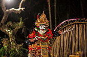 Balinese Trance & Paradise Dancer.