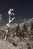 Winter landscape, snowy mountain peaks, stars and illuminated trees in Stillach Valley, Oberstdorf, Oberallgaeu, Germany