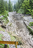 Mudflow between Rubihorn and Nebenhorn in June 14th 2015 in Oberstdorf, Germany