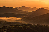 The castle ruins Lindelbrunn surrounded by fog, Palatinate Forest, Rhineland-Palatinate, Germany