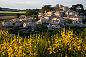 the hilltop village of murs, regional nature park of the luberon, vaucluse (84), france