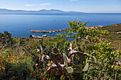 view of cargese, southern corsica (2a), france