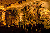 tour of the saint-marcel-d'ardeche cave, important prehistoric site, nature reserve of the gorges of the ardeche, ardeche (07), france