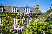 house, port of dahouet, pleneuf val-andre, (22) cotes d'armor, brittany