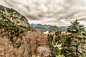 Alpsee in Herbst, Blick überhalb von Schloss Neuschwanstein, Allgäu, Füssen, Bayern, Deutschland