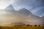 Ehrwalder Sonnenspitze im Nebel, Morgenstimmung, Blick von Ehrwald, Mieminger Kette, Zugspitze, Alpen, Tirol, Österreich