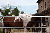Girl climbing railing towards horse at farm