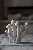 Shimeji mushrooms on napkin