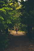 Rear view of person walking on footpath in forest