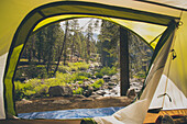 View of trees through tent
