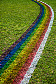 High angle view of rainbow pattern on grassy field