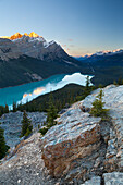 Peyto Lake at sunrise, Banff National Park, UNESCO World Heritage Site, Rocky Mountains, Alberta, Canada, North America