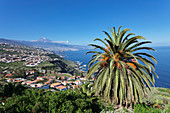 View over Orotava Valley to the north coast and Puerto de la Cruz und den Teide, Tenerife, Canary Islands, Spain, Atlantic, Europe