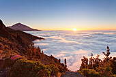 Pico del Teide at sunset, National Park Teide, UNESCO World Heritage Site, Tenerife, Canary Islands, Spain, Europe