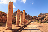 Colonnaded Street, City of Petra ruins, Petra, UNESCO World Heritage Site, Jordan, Middle East