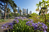 View of City from Alexandra Gardens, Melbourne, Victoria, Australia, Pacific