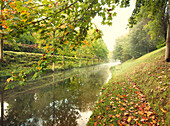 Misty morning on The Royal Canal, Republic of Ireland, Europe