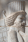 Persepolis archeological site, Iran, Western Asia