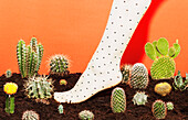 Low section of woman wearing stockings while standing amidst cactus plants