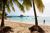 Sandy beach at Pigeon Point, Tobago, West Indies, South America