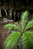 The Grotte de la Reine Hortense on the Ile des Pines, New Caledonia