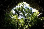 Die Grotte de la Reine Hortense auf der Ile des Pines, Neukaledonien