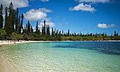 Die Kuto Bay mit Araucarien auf der Ile des Pines, Neukaledonien