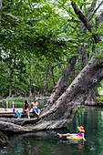 A young woman floats in the water as a man and a woman watch from the base of a tree at the Blue Hole in Wimberley, Texas, a popular destination for tourists and locals on hot summer days. The clear, cool water flows through cypress trees and offers a ref