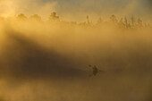 A kayaker enjoys the sunrise as steam rises from Lake Pleasant in Conover, Wisconsin on a brisk fall morning.