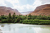 Oase bei Erfoud, Ziz-Tal, Sahara, Marokko