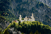 Schloss Neuschwanstein, Hohenschwangau, bei Füssen, Allgäu, Bayern, Deutschland