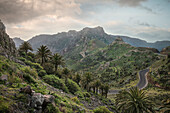 romantische Straße führt durch bergiges Hinterland im Nationalpark Parque Nacional de Garajonay, La Gomera, Kanarische Inseln, Kanaren, Spanien